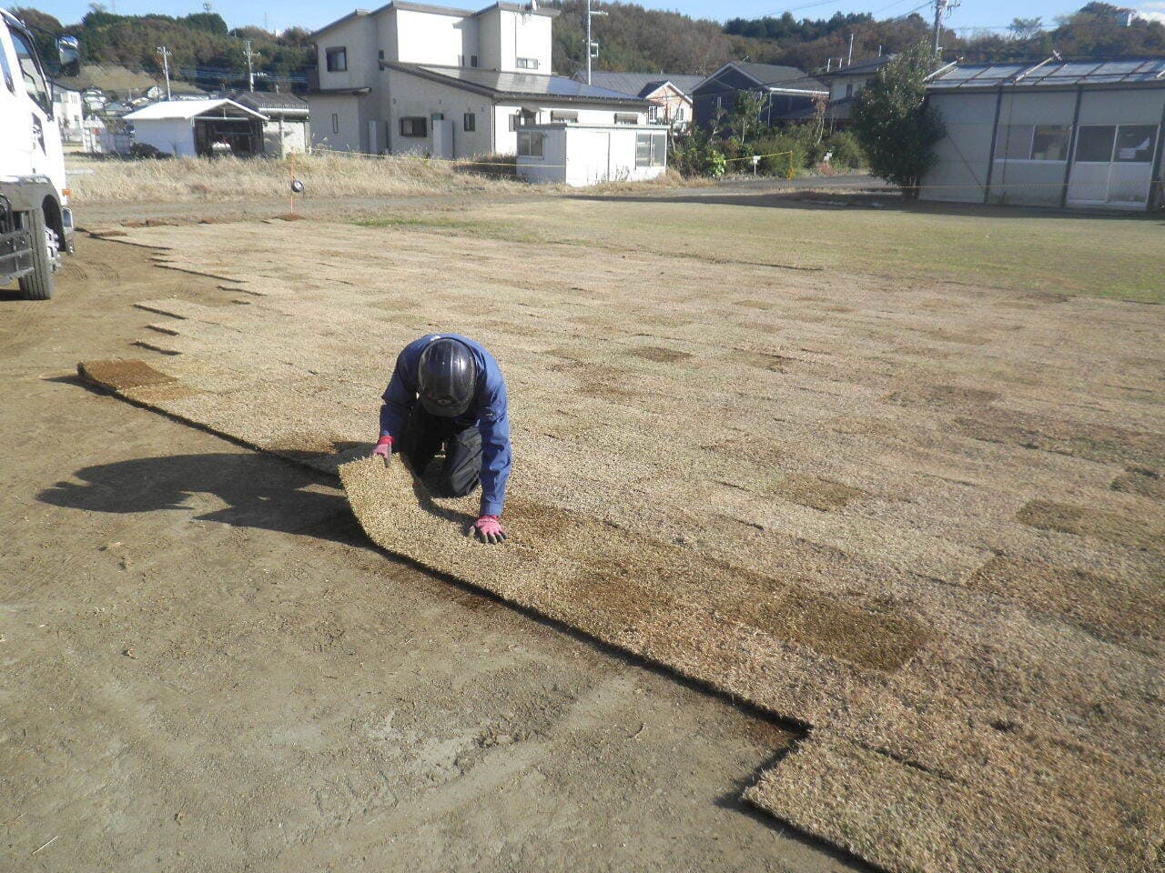 芝生敷設作業中の作業員の写真